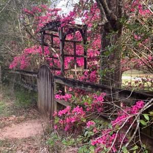 Meet your Posher, Annie